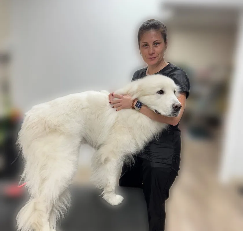 Zamira with a fluffy white dog on the grooming table